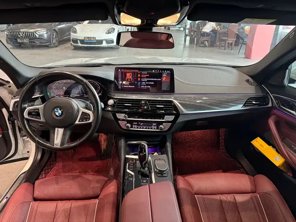 BMW 5 Series 2021 из CN, фото 8