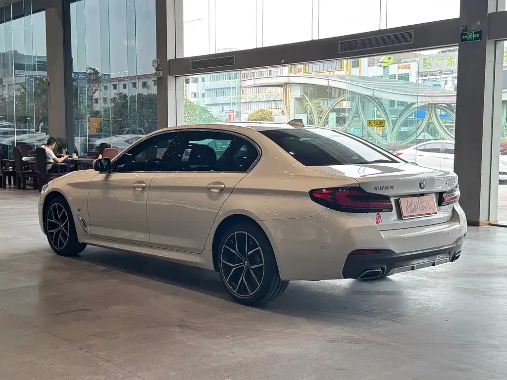 BMW 5 Series 2021 из CN, фото 6