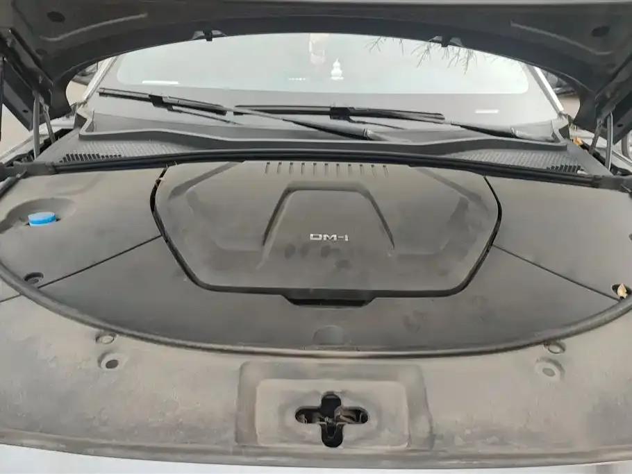 BYD PLUS New Energy 2023 из CN, фото 2