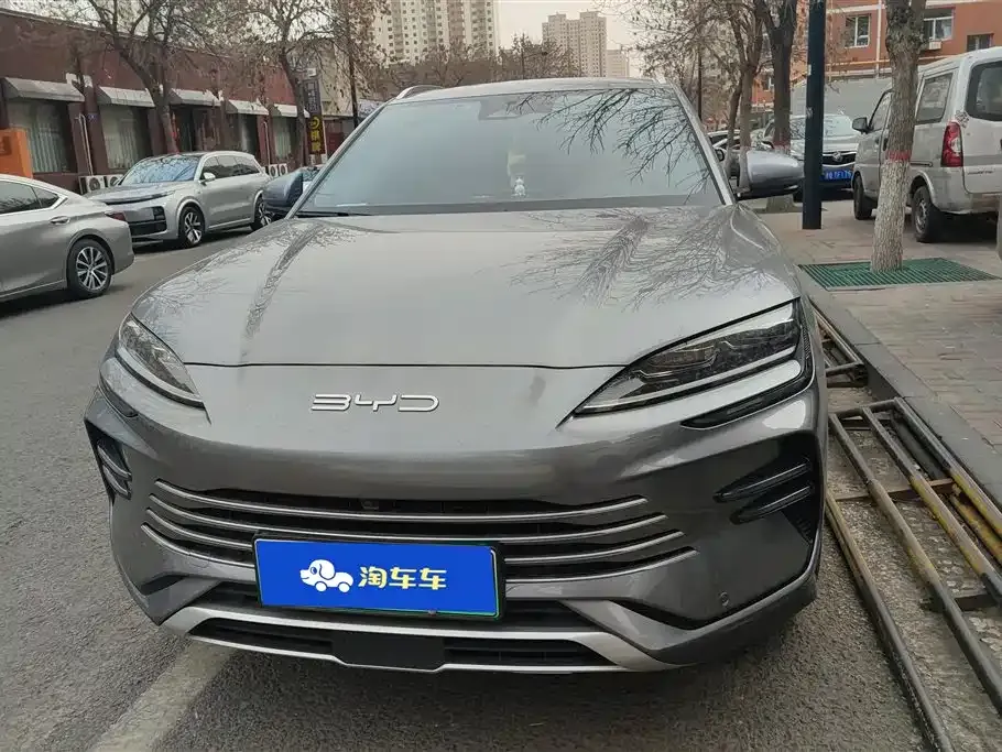 BYD PLUS New Energy 2023 из CN, фото 4