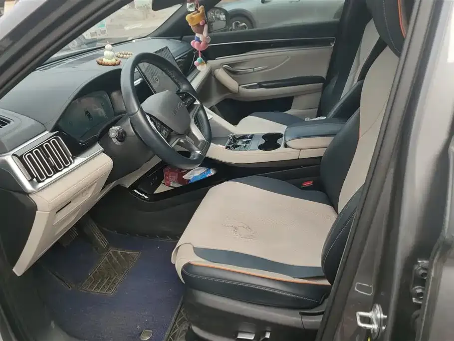 BYD PLUS New Energy 2023 из CN, фото 5