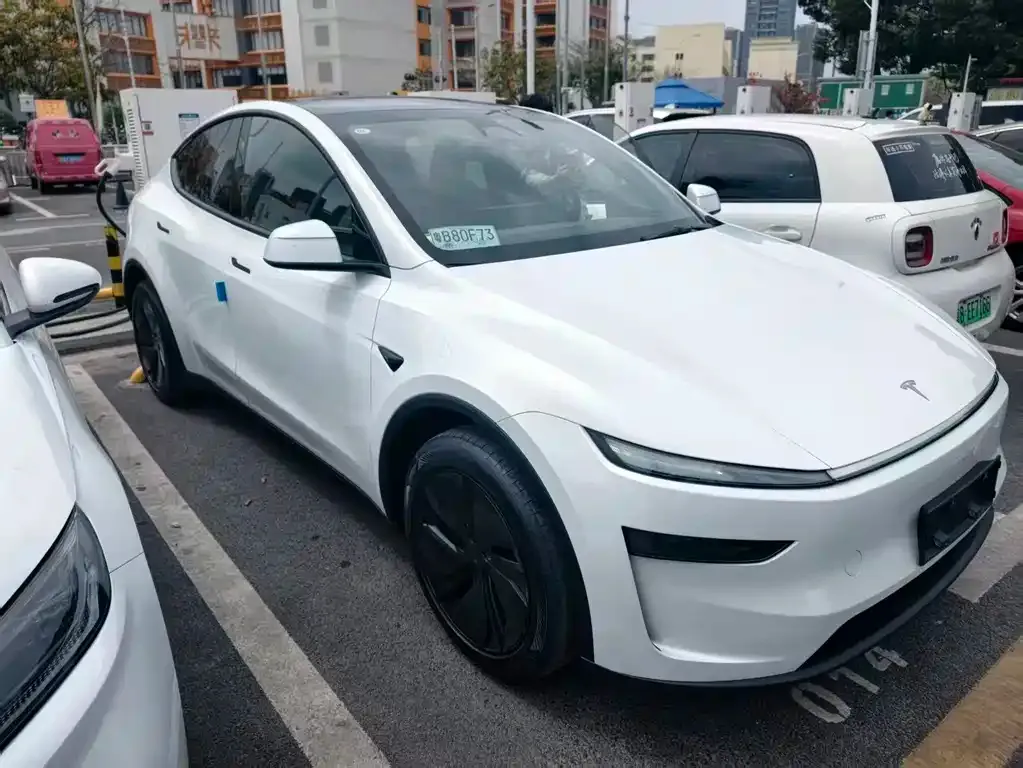 Tesla Model Y — фото 2