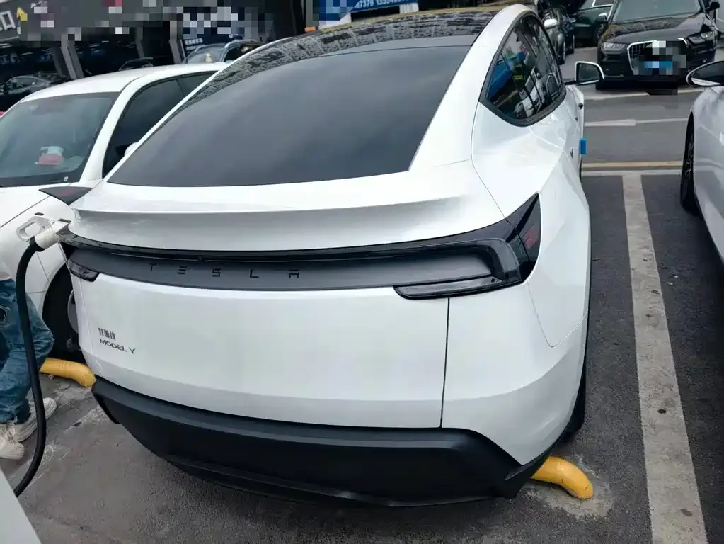 Tesla Model Y — фото 3