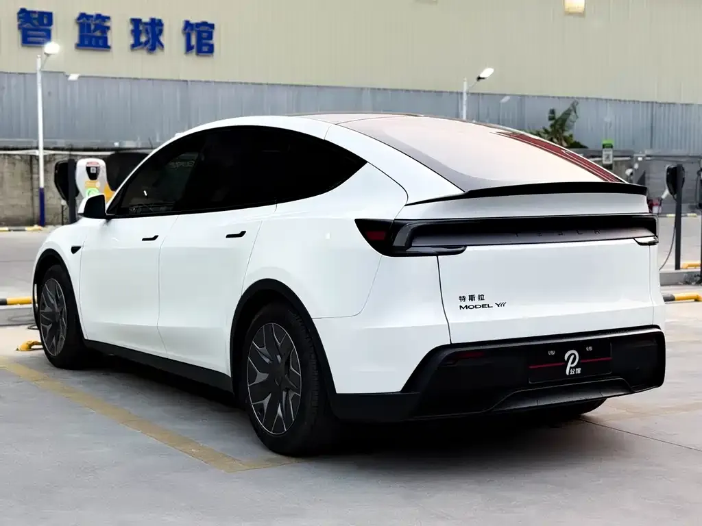 Tesla Model Y L 2025 из CN, фото 2