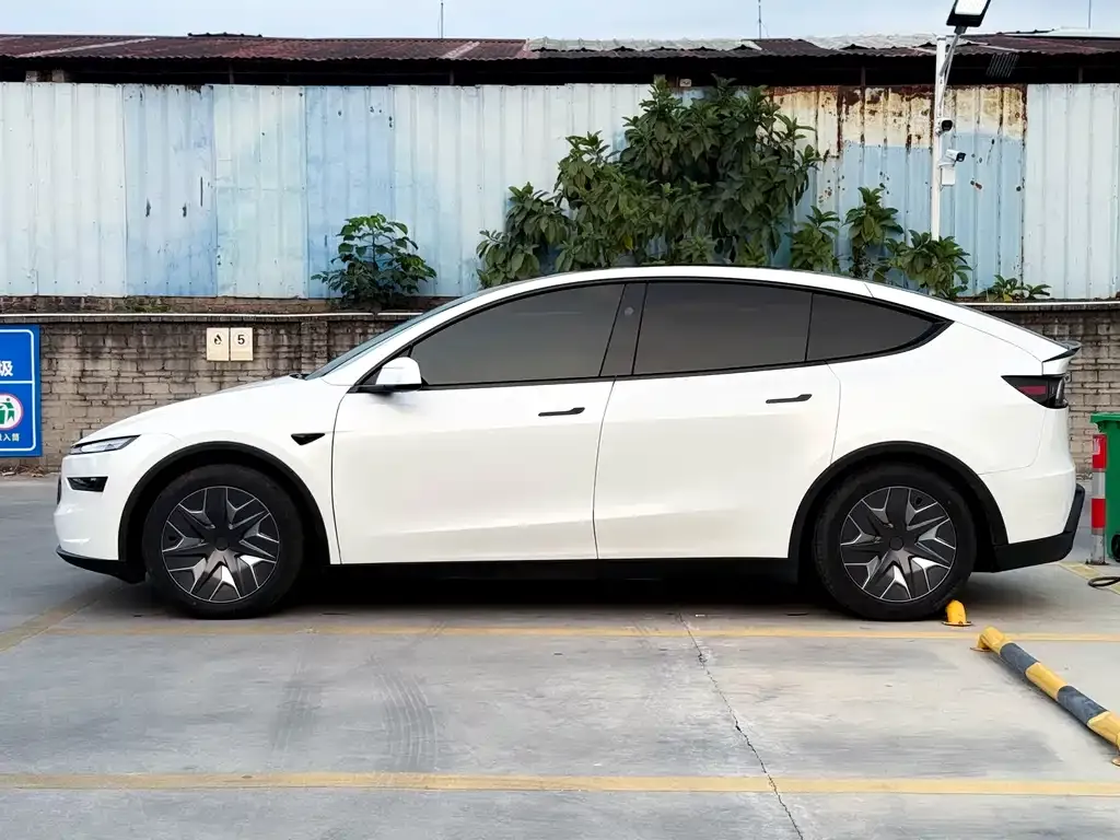 Tesla Model Y L 2025 из CN, фото 10