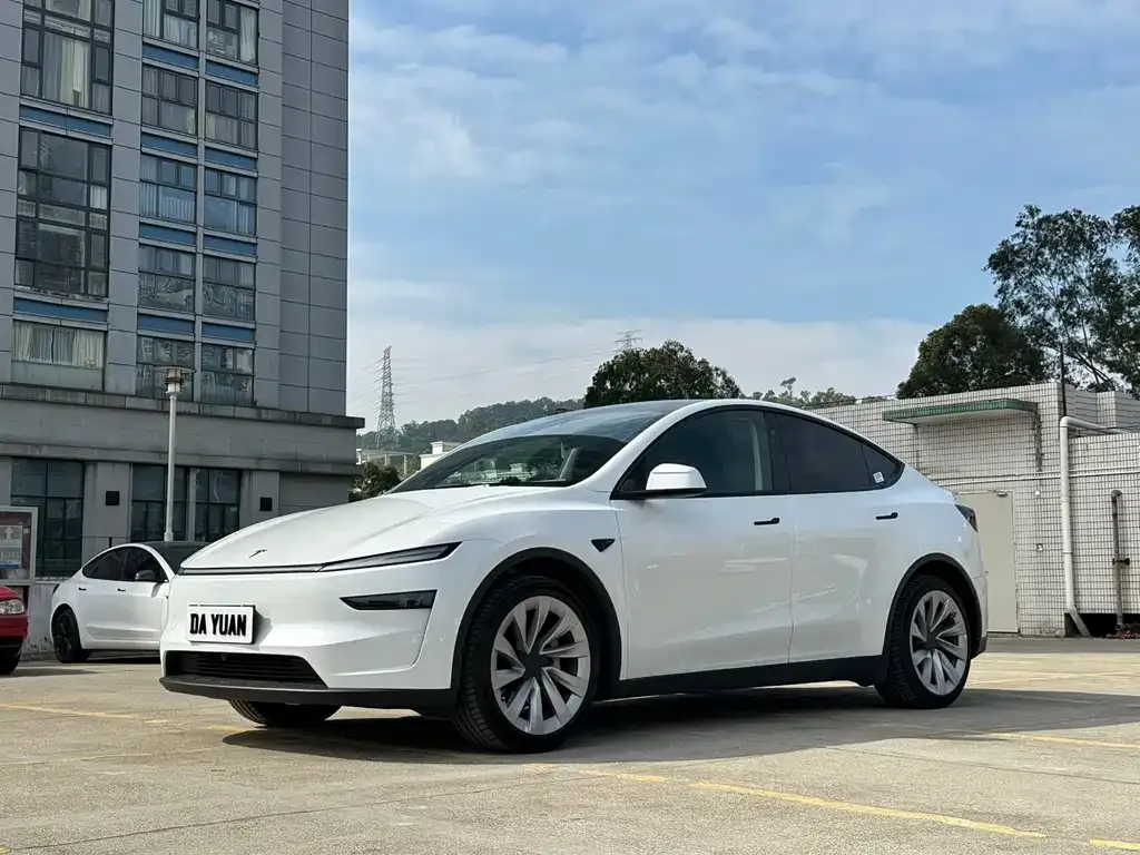 Tesla Model Y 2025 из CN, фото 1