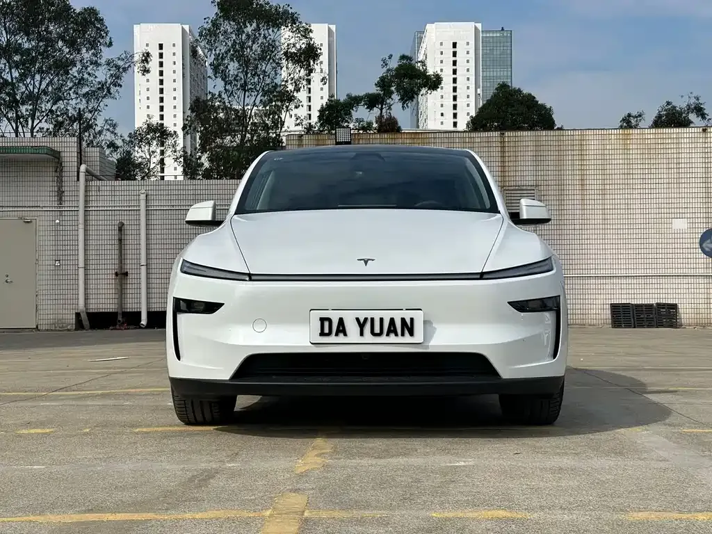 Tesla Model Y 2025 из CN, фото 10