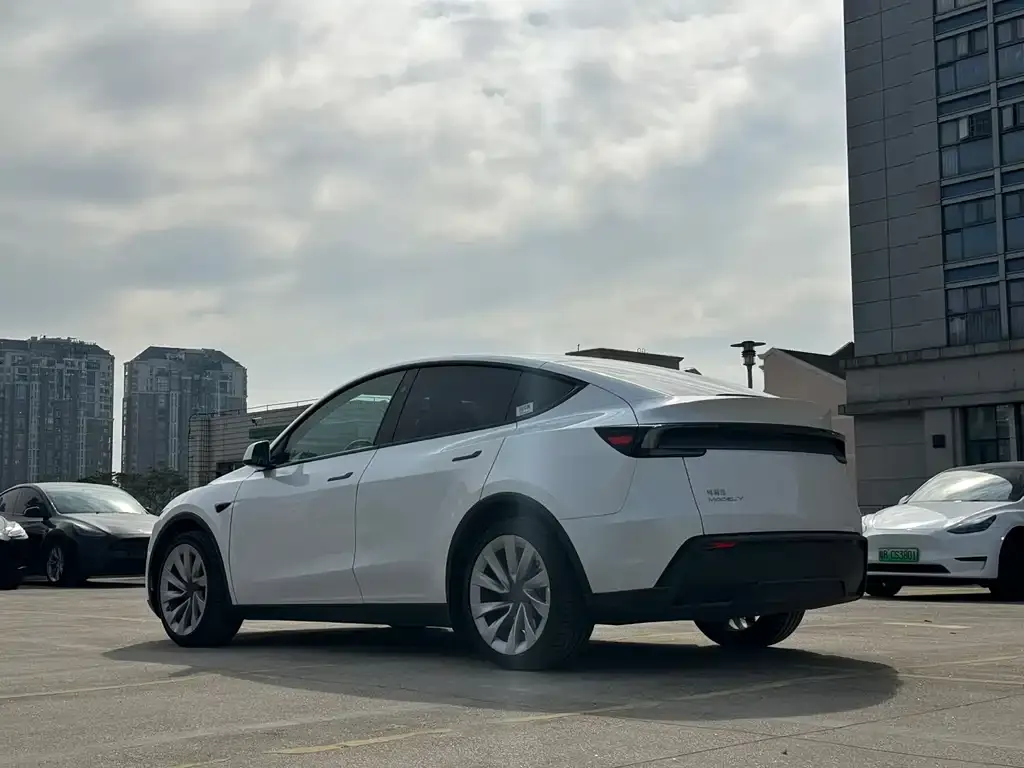 Tesla Model Y 2025 из CN, фото 8