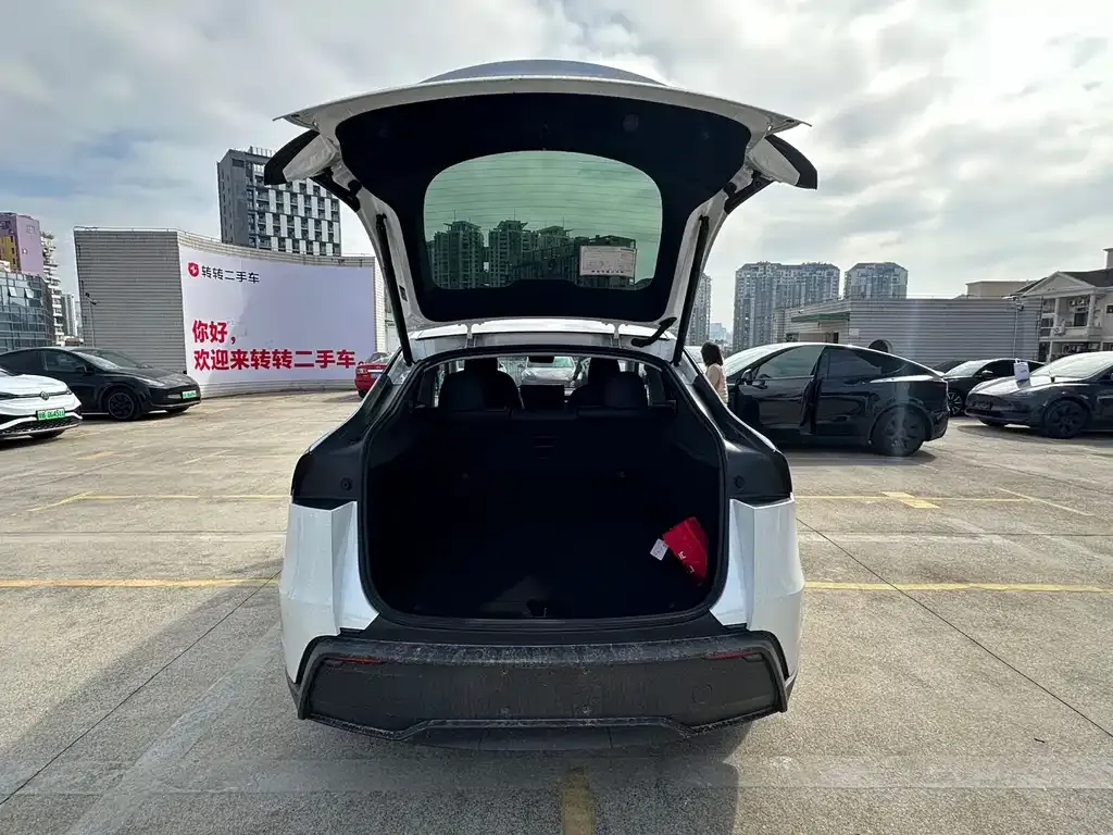 Tesla Model Y 2025 из CN, фото 6