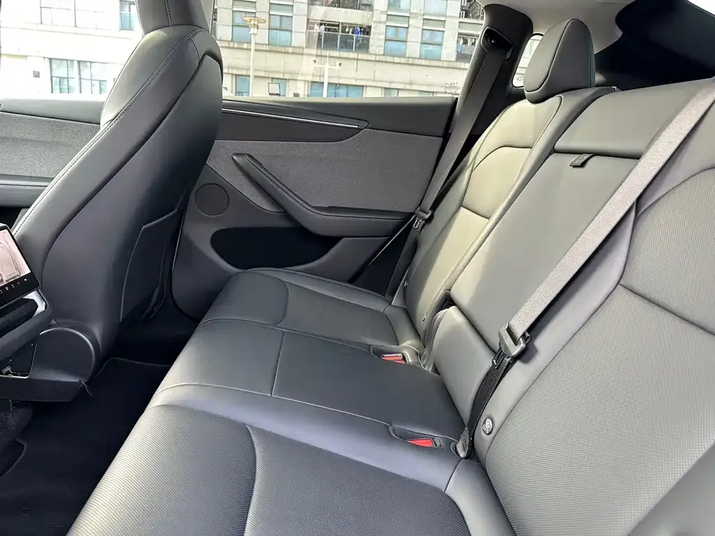 Tesla Model Y 2025 из CN, фото 4