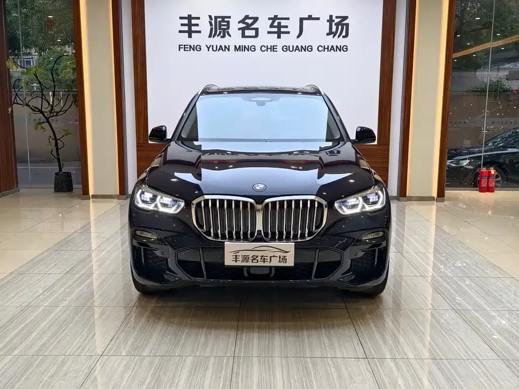 BMW X5 (Import) 2021 из CN, фото 4