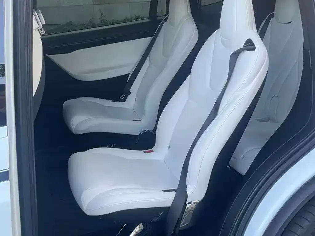 Tesla Model X 2021 из CN, фото 3
