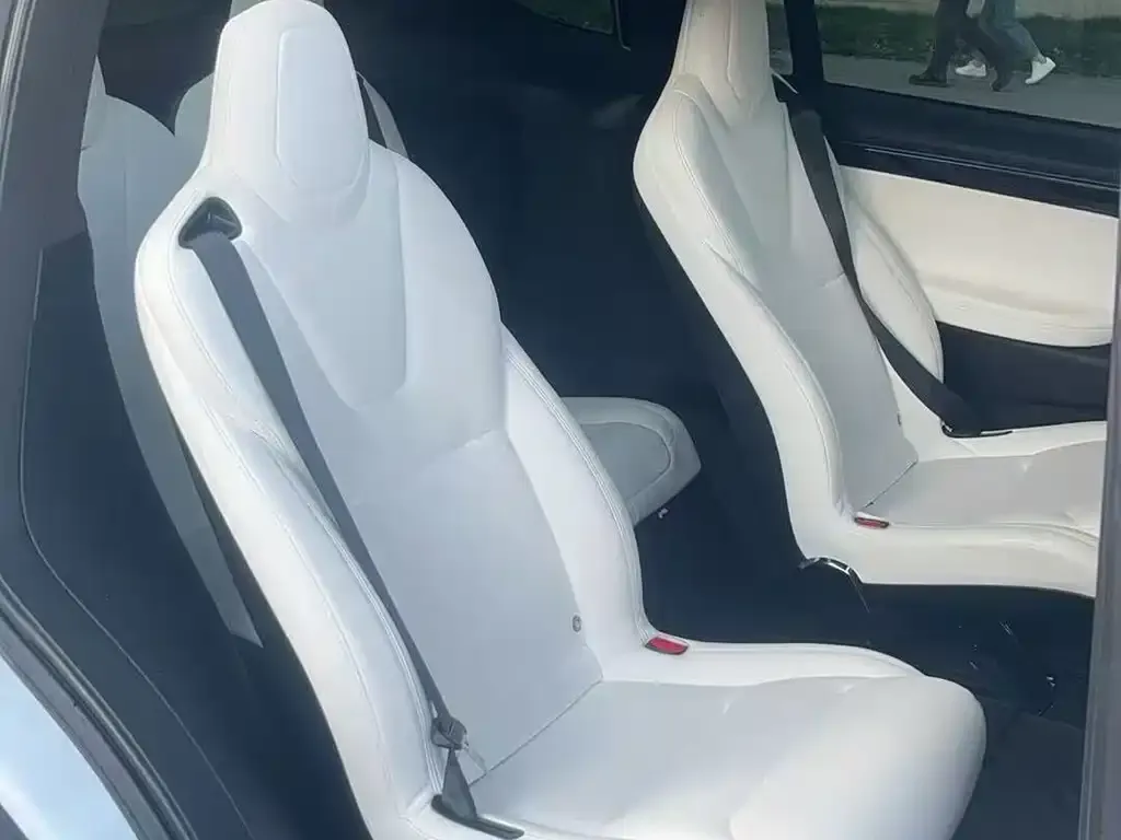Tesla Model X 2021 из CN, фото 2