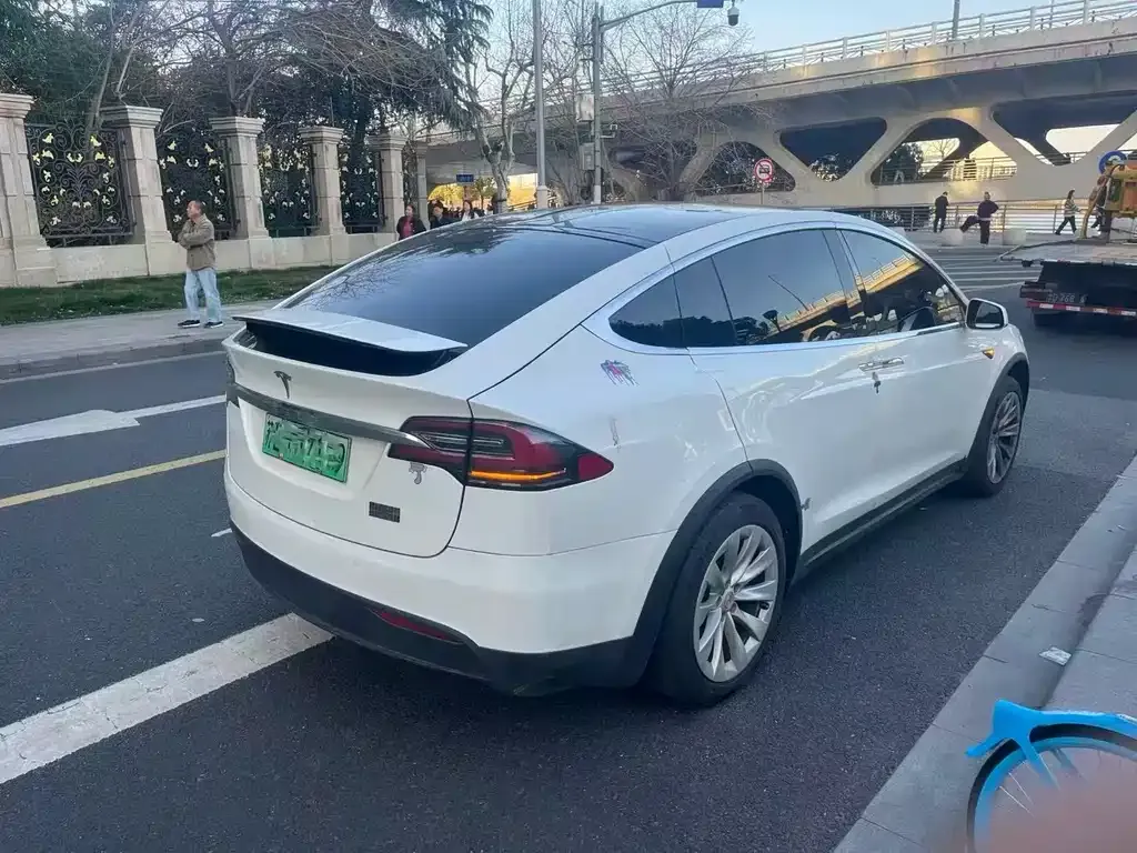 Tesla Model X 2021 из CN, фото 4