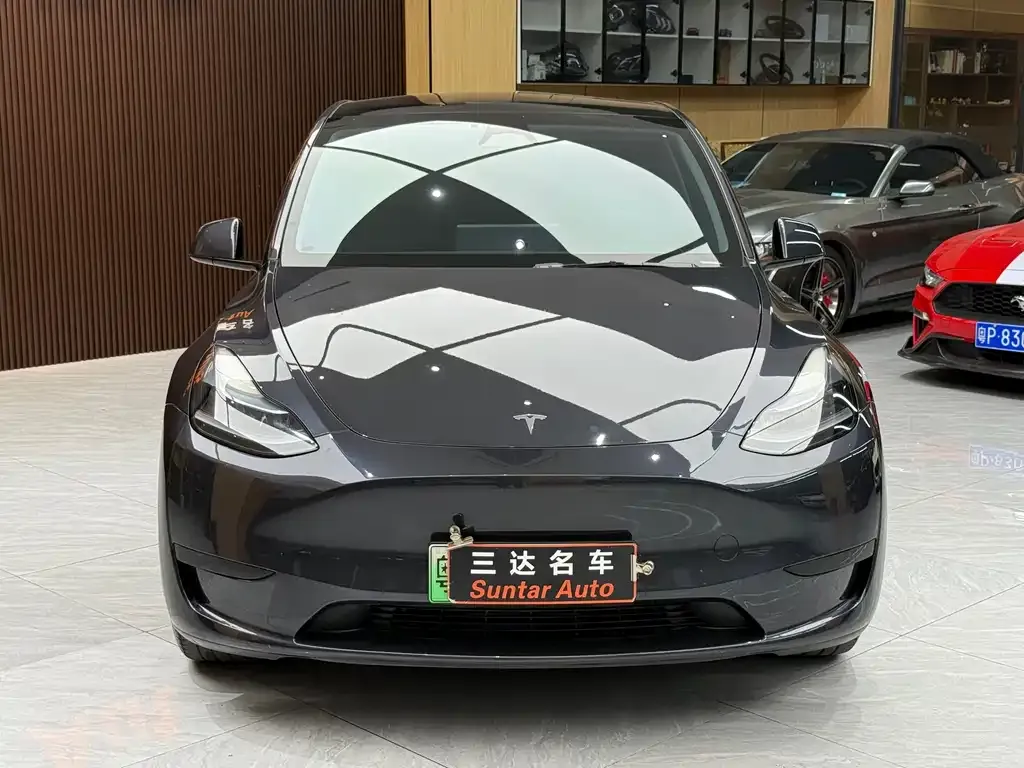 Tesla Model Y — фото 8