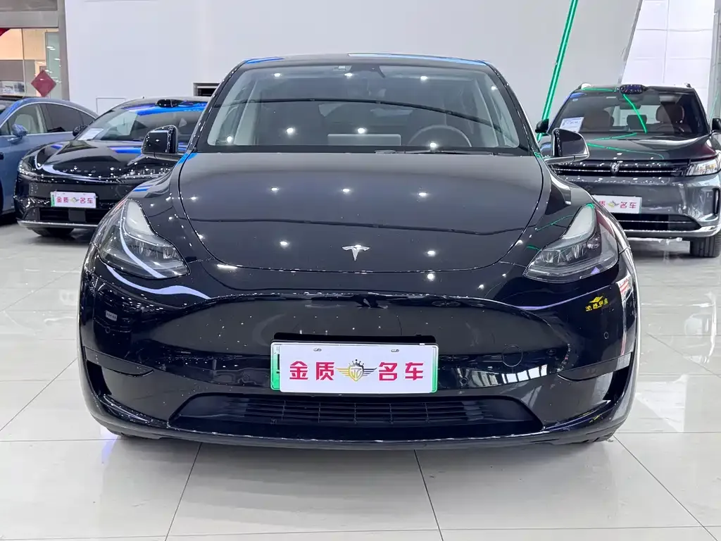 Tesla Model Y — фото 3