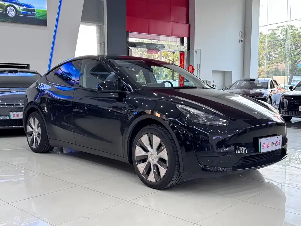 Tesla Model Y — фото 10