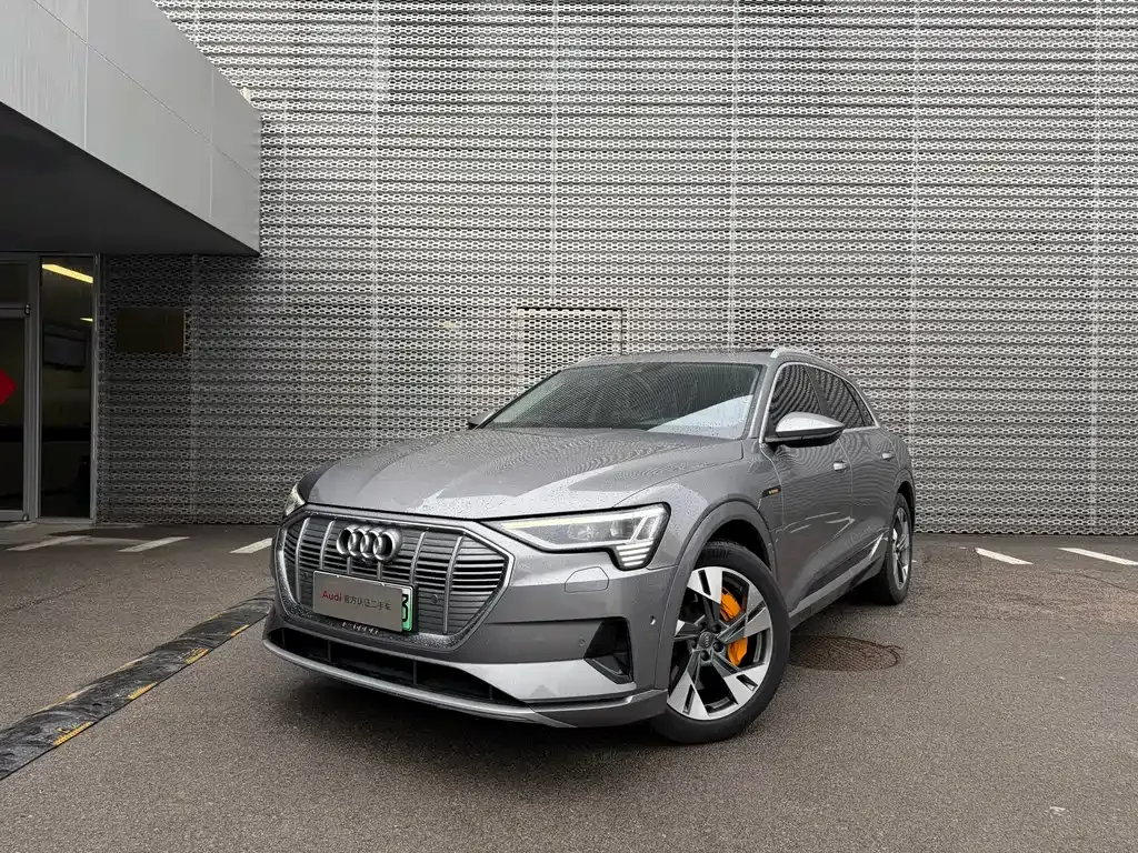 Audi e-tron (Import) 2021 из CN, фото 1