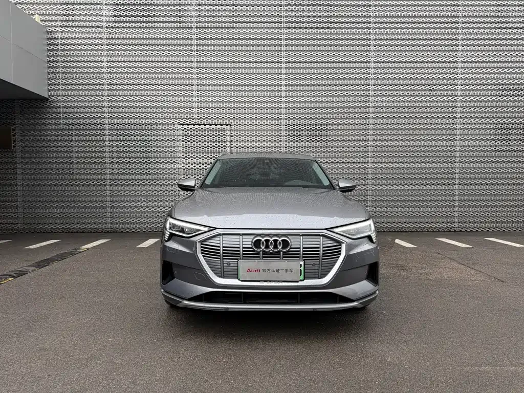 Audi e-tron (Import) 2021 из CN, фото 6