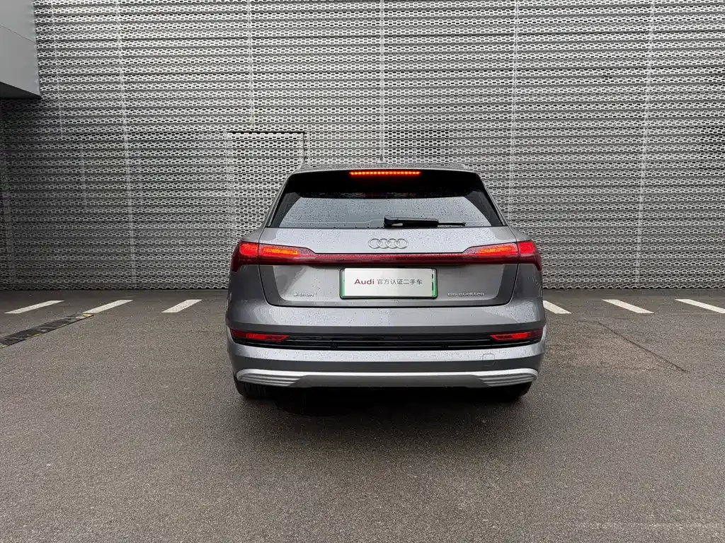 Audi e-tron (Import) 2021 из CN, фото 10