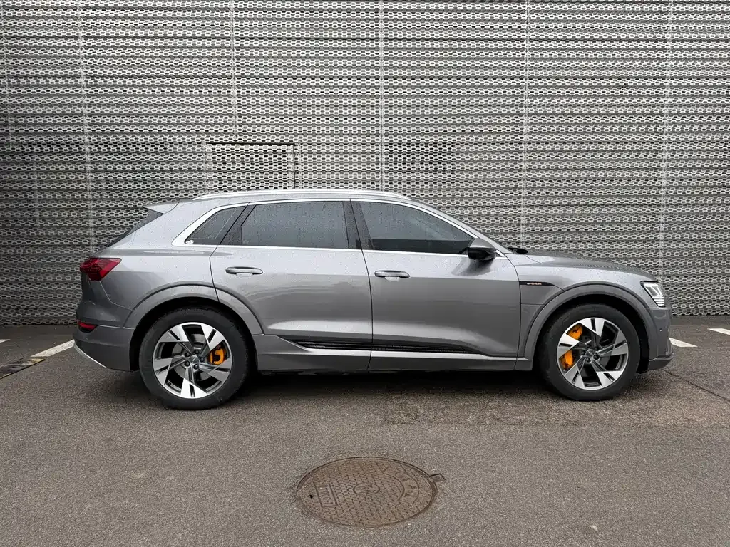Audi e-tron (Import) 2021 из CN, фото 9