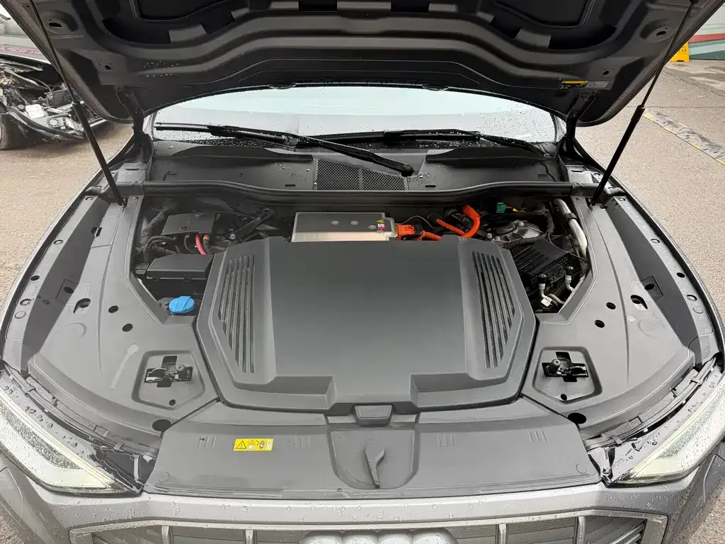 Audi e-tron (Import) 2021 из CN, фото 4