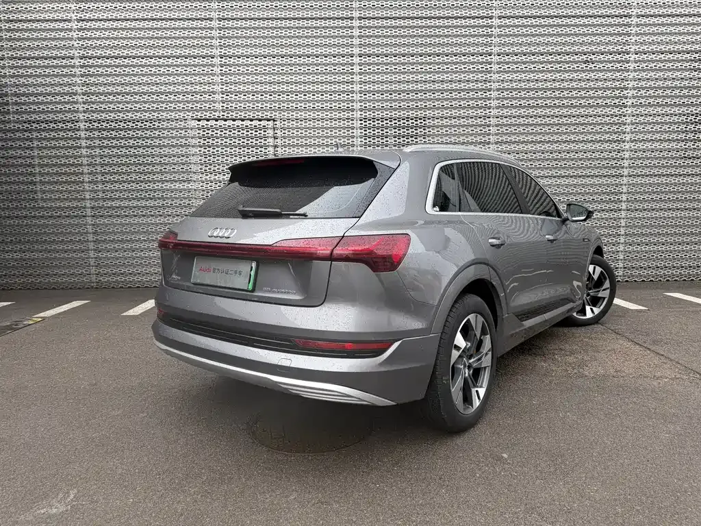 Audi e-tron (Import) 2021 из CN, фото 5