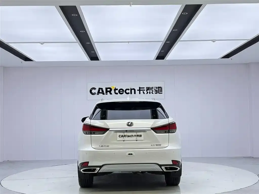 Lexus RX 2022 из CN, фото 7