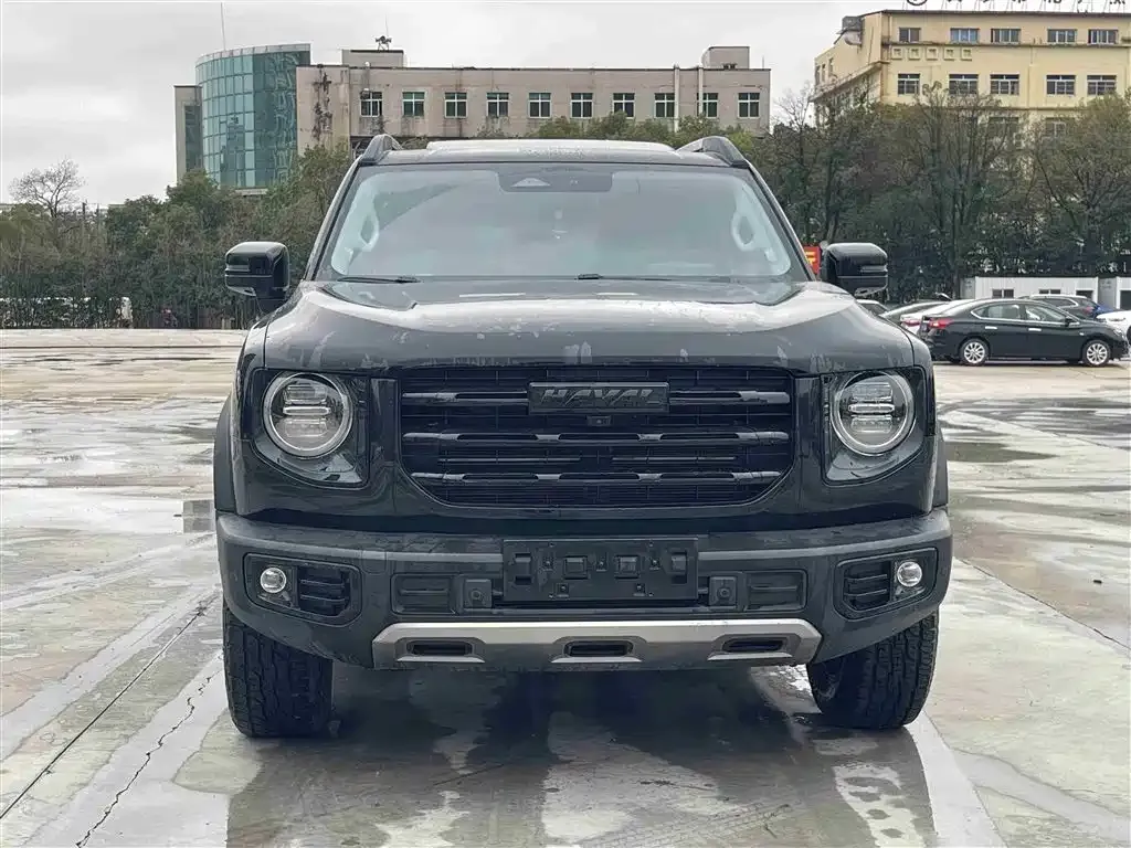 Haval Big Dog 2023 из CN, фото 3