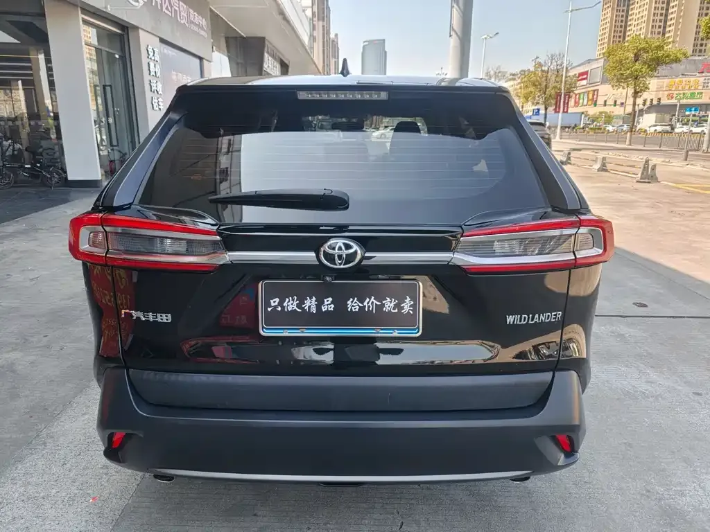 Toyota Wildlander 2022 из CN, фото 9