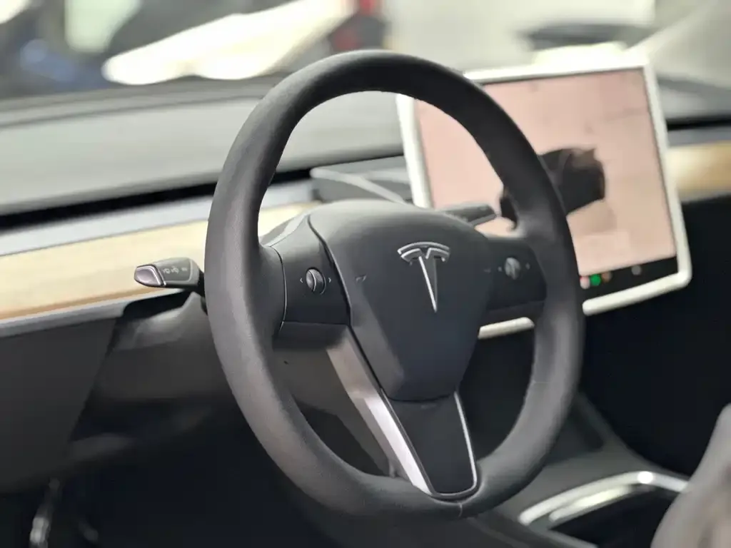 Tesla Model 3 2023 из CN, фото 4