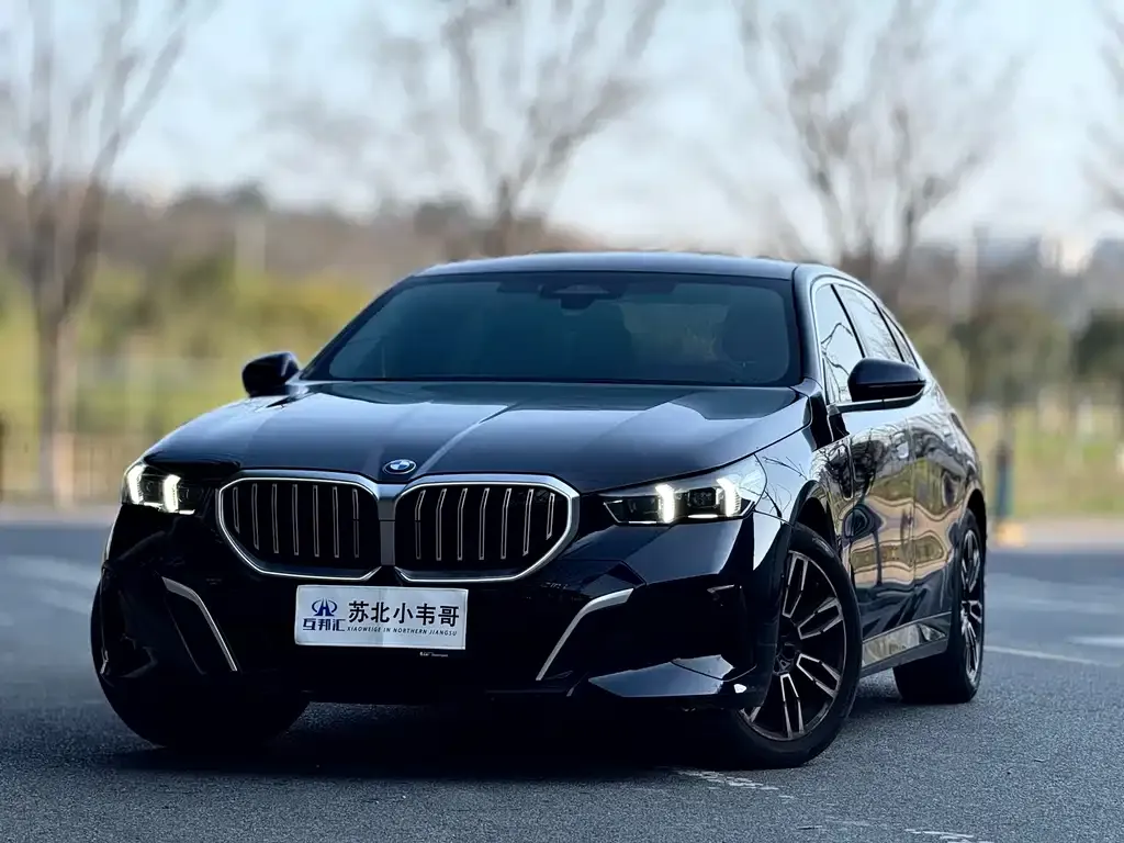 BMW 5 Series 2024 из CN, фото 2