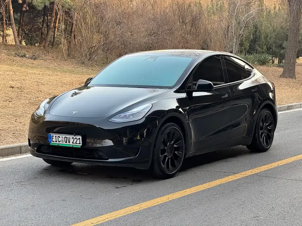 Tesla Model Y 2023 из CN, фото 1
