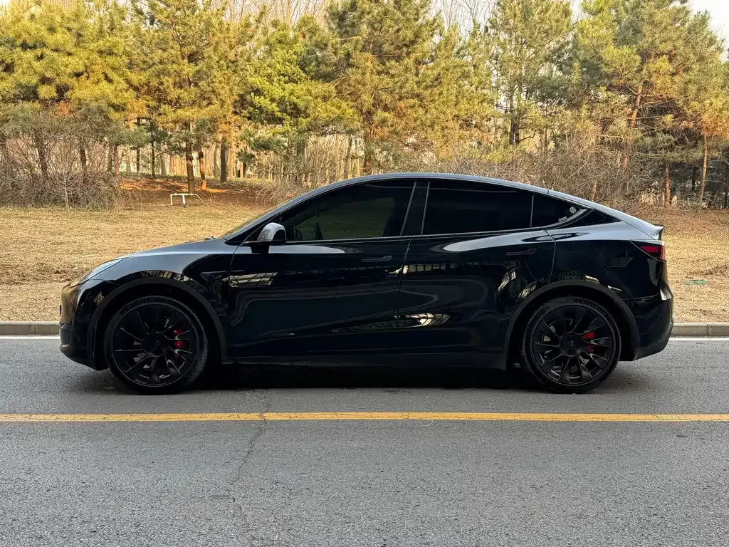 Tesla Model Y 2023 из CN, фото 5