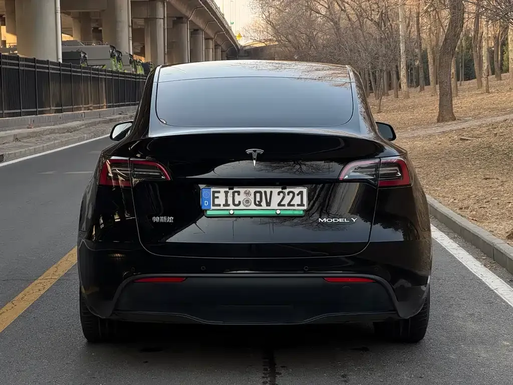 Tesla Model Y 2023 из CN, фото 6