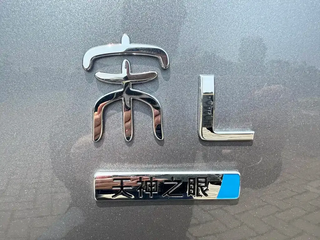 BYD L DM-i — фото 10