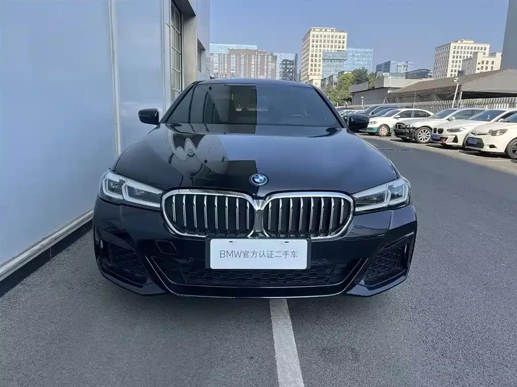 BMW 5 Series New Energy 2023 из CN, фото 5