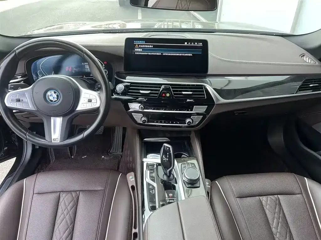BMW 5 Series New Energy 2023 из CN, фото 4