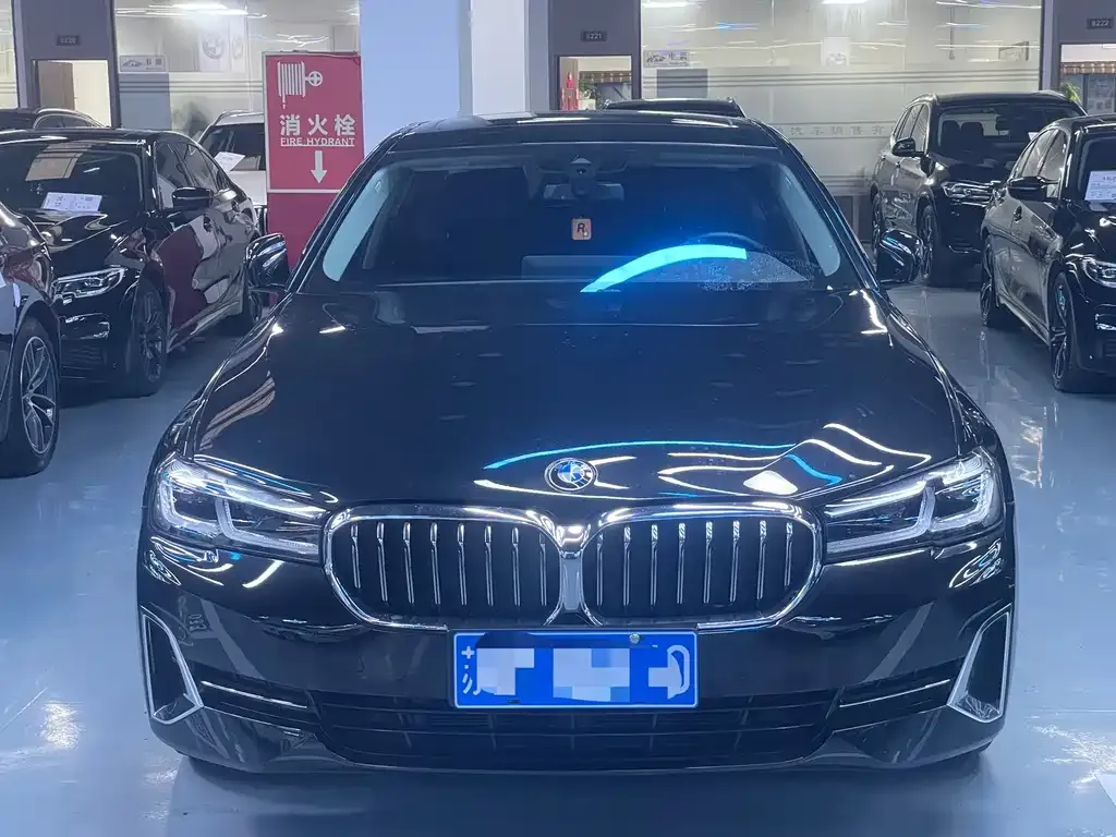 BMW 5 Series 2021 из CN, фото 9