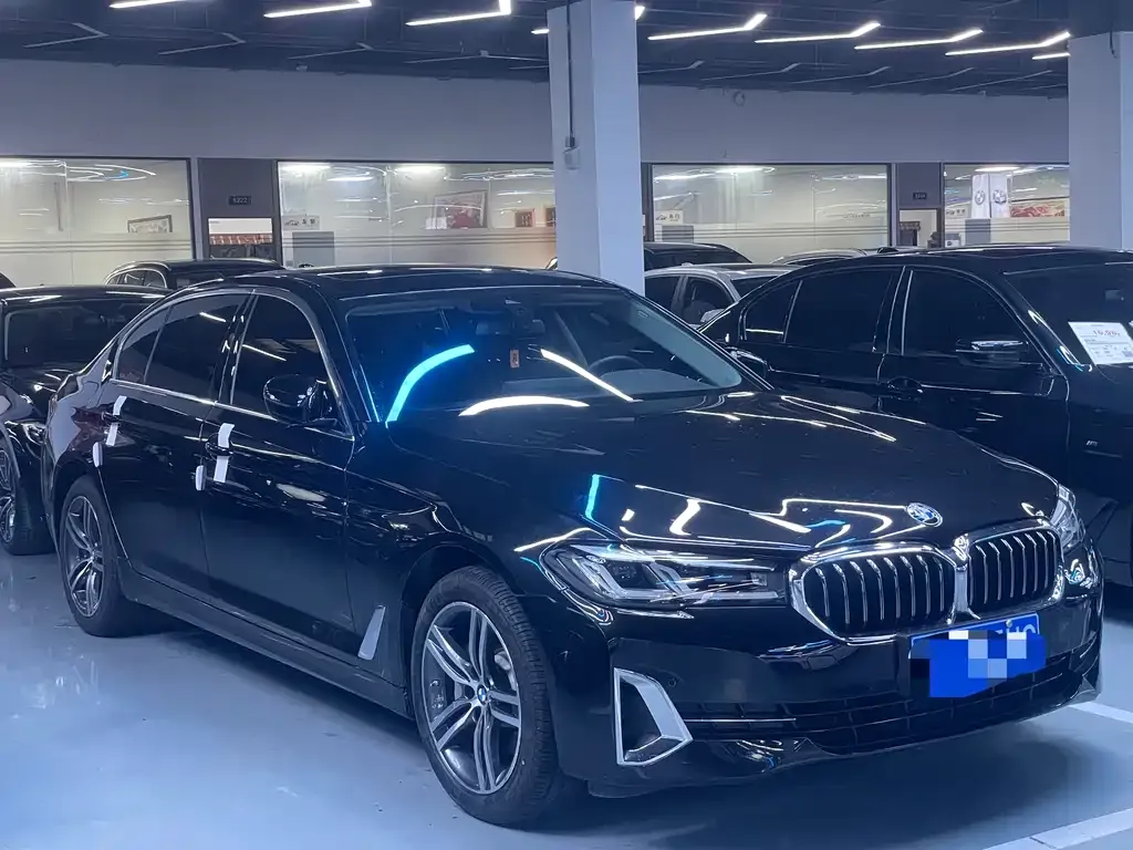 BMW 5 Series 2021 из CN, фото 6