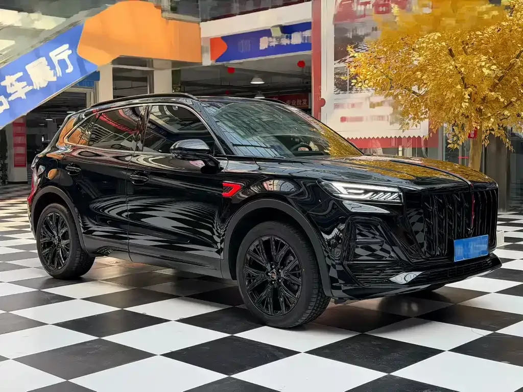 Hongqi HS5 2025 из CN, фото 9