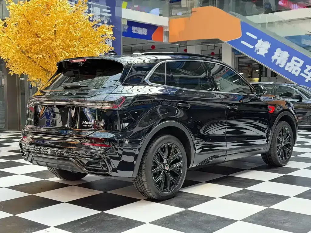Hongqi HS5 2025 из CN, фото 5
