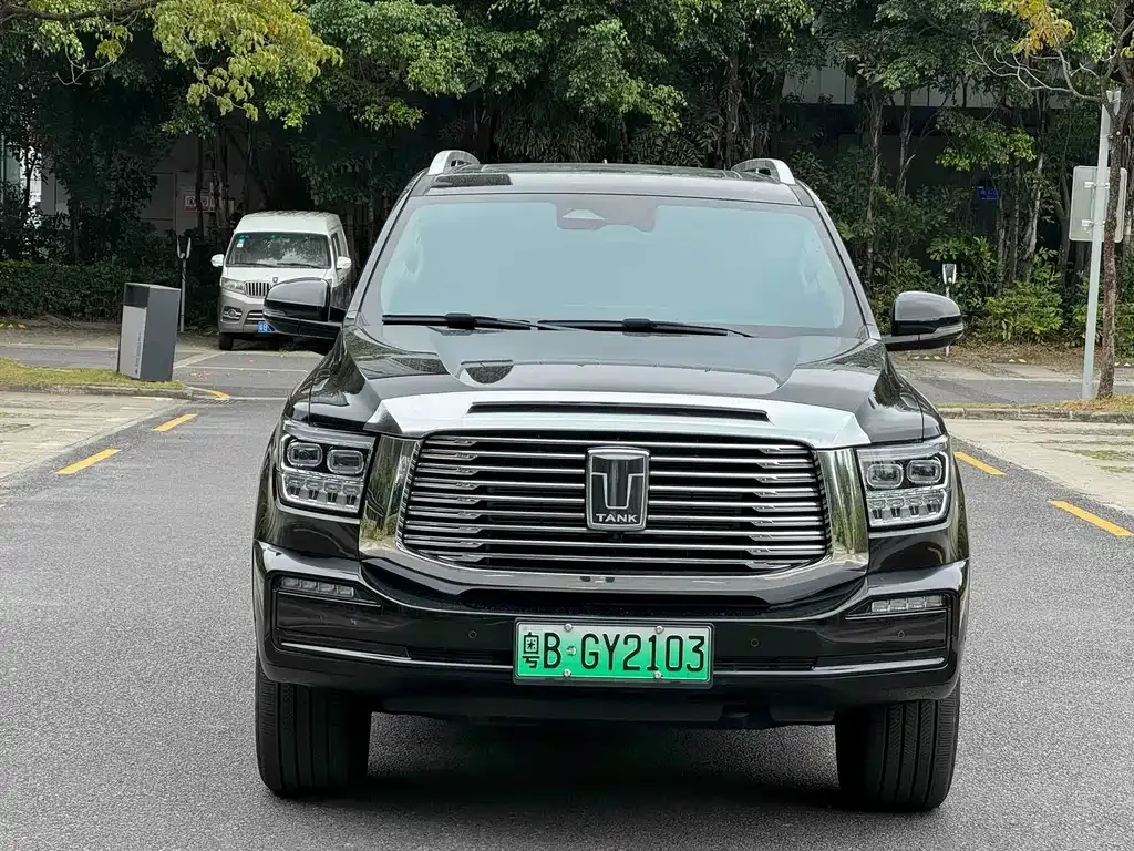 Tank 500 New Energy 2024 из CN, фото 9