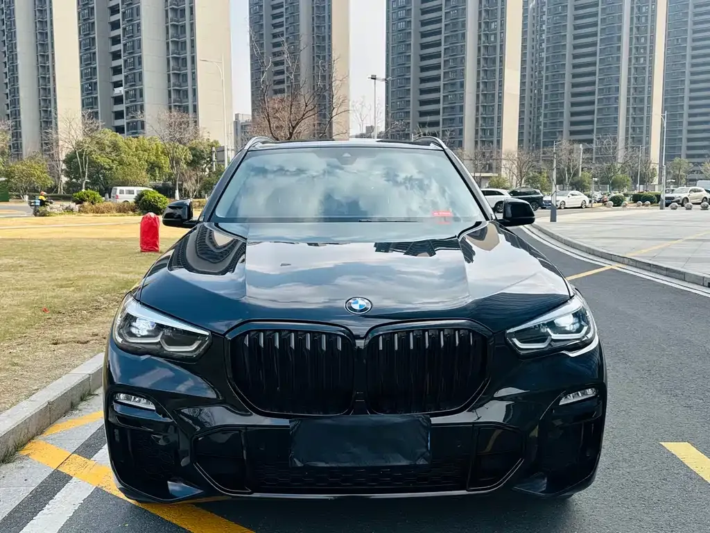 BMW X5 (Import) 2021 из CN, фото 5