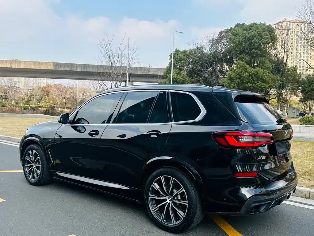 BMW X5 (Import) 2021 из CN, фото 8