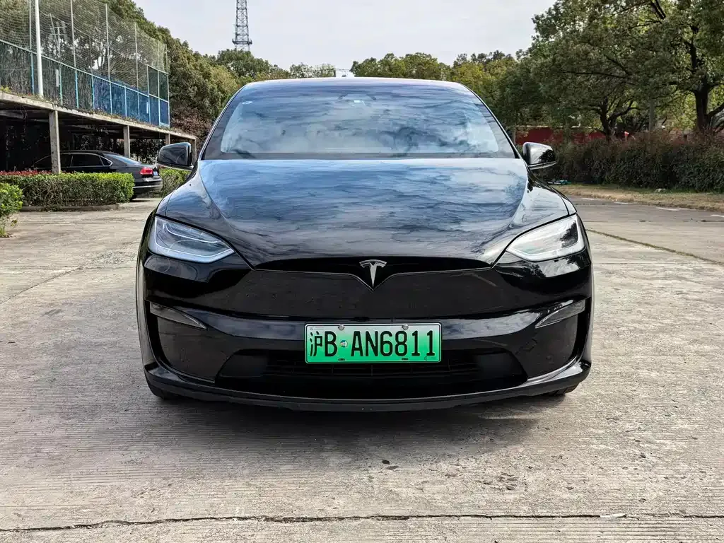 Tesla Model X 2023 из CN, фото 9