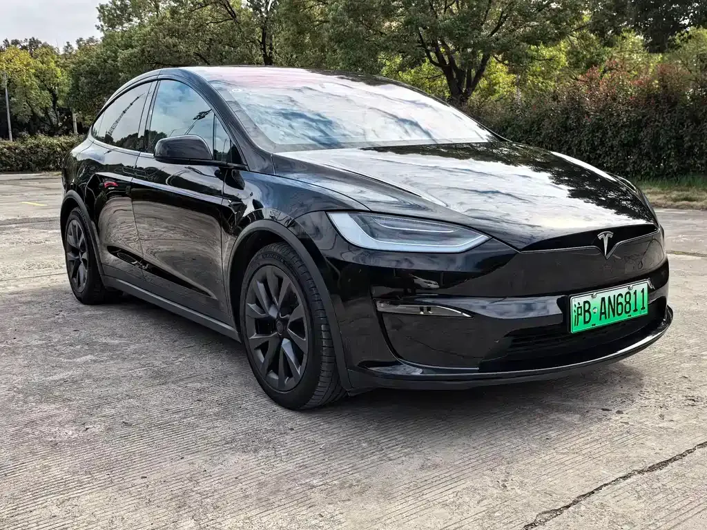 Tesla Model X 2023 из CN, фото 10