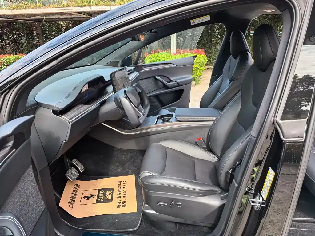 Tesla Model X 2023 из CN, фото 7