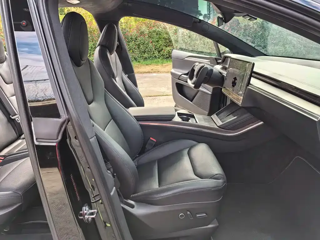 Tesla Model X 2023 из CN, фото 2