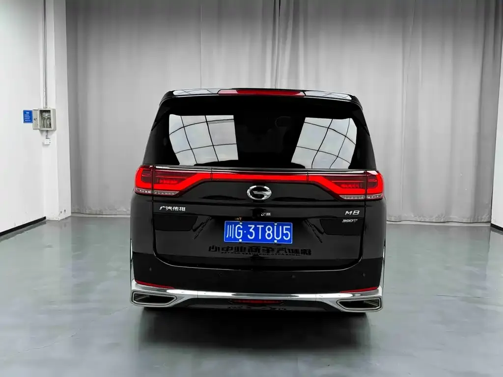 GAC Motor Trumpchi M8 2022 из CN, фото 6